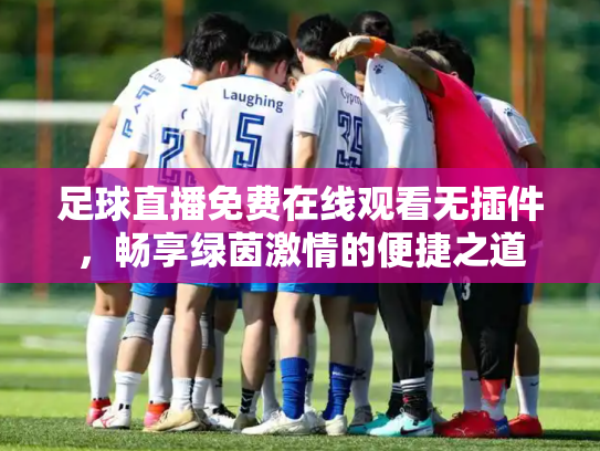 足球直播免费在线观看无插件，畅享绿茵激情的便捷之道