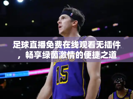 足球直播免费在线观看无插件，畅享绿茵激情的便捷之道