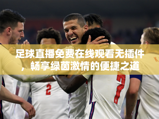 足球直播免费在线观看无插件，畅享绿茵激情的便捷之道