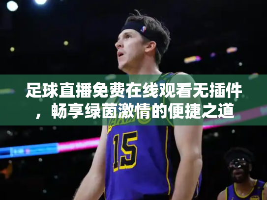 足球直播免费在线观看无插件，畅享绿茵激情的便捷之道