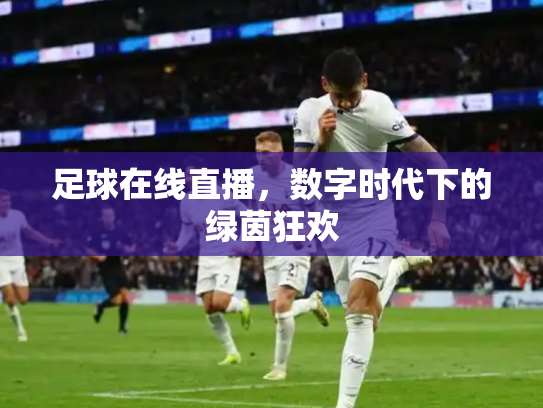 足球在线直播，数字时代下的绿茵狂欢