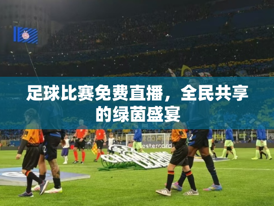 足球比赛免费直播，全民共享的绿茵盛宴