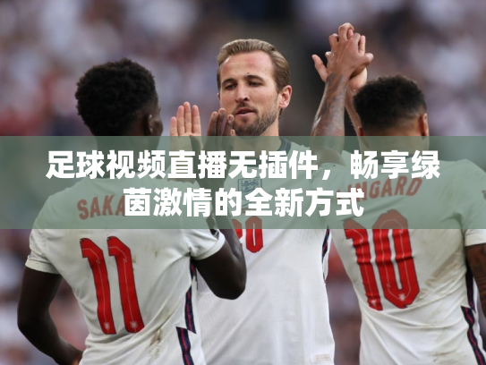 足球视频直播无插件，畅享绿茵激情的全新方式