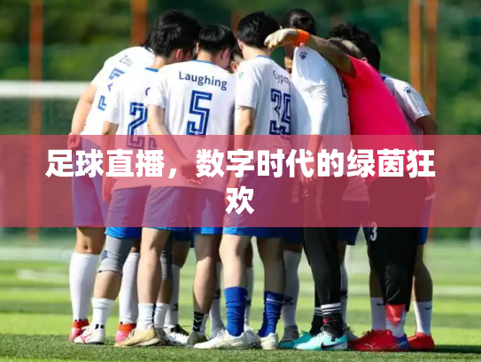 足球直播，数字时代的绿茵狂欢