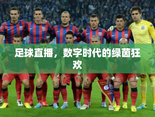 足球直播，数字时代的绿茵狂欢