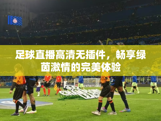 足球直播高清无插件，畅享绿茵激情的完美体验