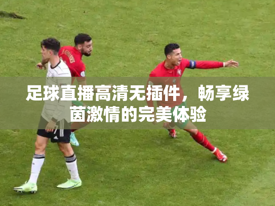 足球直播高清无插件，畅享绿茵激情的完美体验