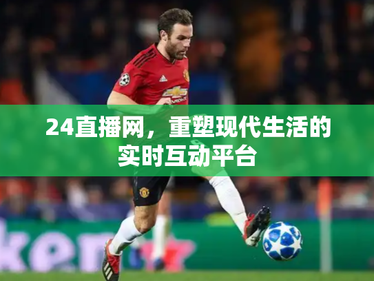 24直播网，重塑现代生活的实时互动平台