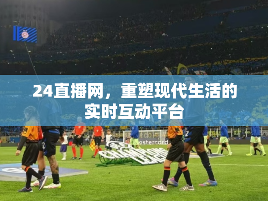 24直播网，重塑现代生活的实时互动平台