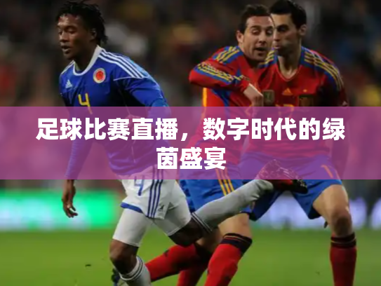 足球比赛直播，数字时代的绿茵盛宴