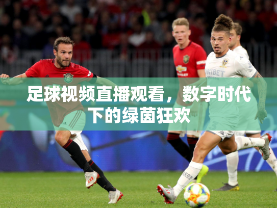 足球视频直播观看，数字时代下的绿茵狂欢