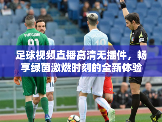足球视频直播高清无插件，畅享绿茵激燃时刻的全新体验