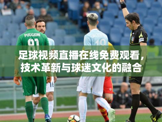 足球视频直播在线免费观看，技术革新与球迷文化的融合