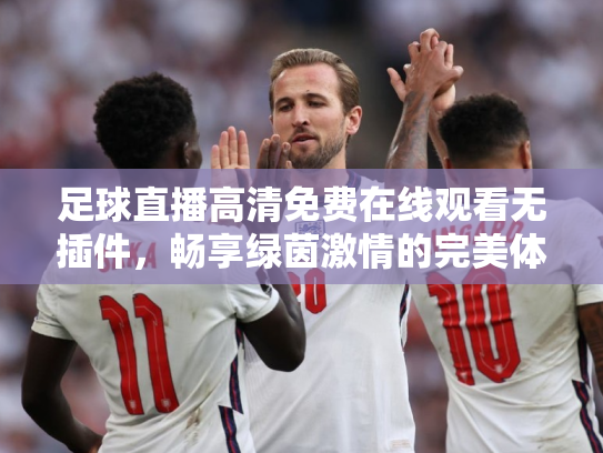 足球直播高清免费在线观看无插件，畅享绿茵激情的完美体验