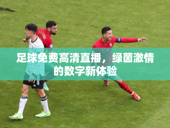 足球免费高清直播，绿茵激情的数字新体验