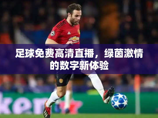 足球免费高清直播，绿茵激情的数字新体验