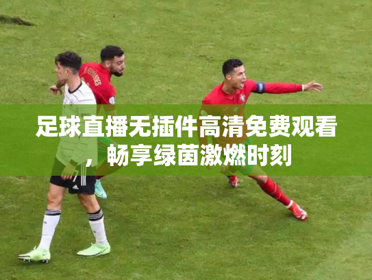 足球直播无插件高清免费观看，畅享绿茵激燃时刻