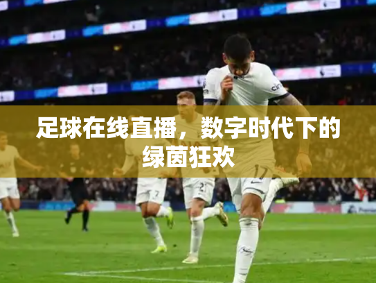 足球在线直播，数字时代下的绿茵狂欢