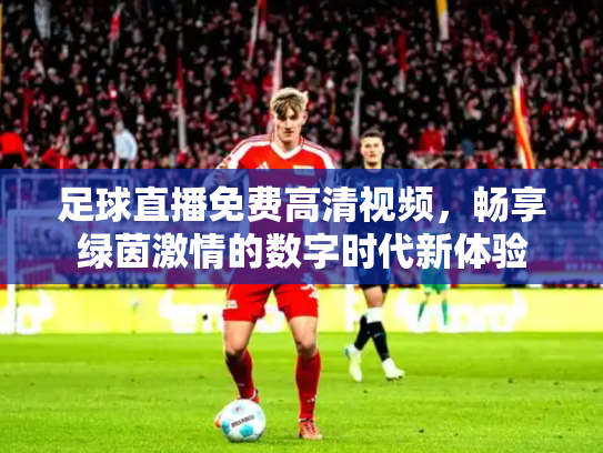 足球直播免费高清视频，畅享绿茵激情的数字时代新体验