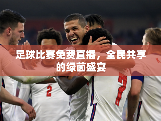 足球比赛免费直播，全民共享的绿茵盛宴