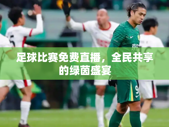 足球比赛免费直播，全民共享的绿茵盛宴