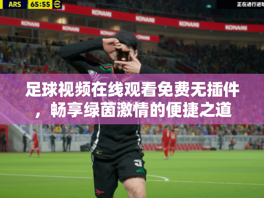 足球视频在线观看免费无插件，畅享绿茵激情的便捷之道