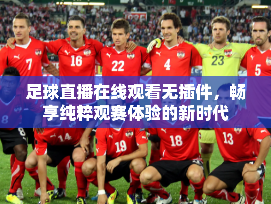足球直播在线观看无插件，畅享纯粹观赛体验的新时代