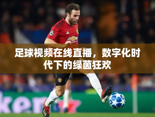 足球视频在线直播，数字化时代下的绿茵狂欢