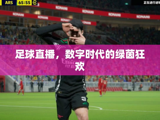 足球直播，数字时代的绿茵狂欢