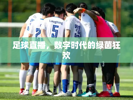 足球直播，数字时代的绿茵狂欢