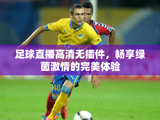 足球直播高清无插件，畅享绿茵激情的完美体验