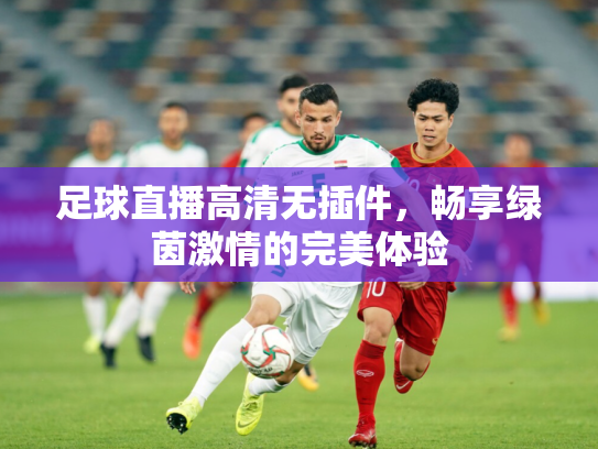 足球直播高清无插件，畅享绿茵激情的完美体验