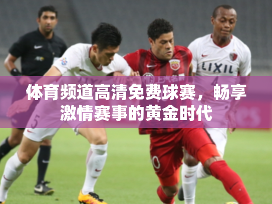 体育频道高清免费球赛，畅享激情赛事的黄金时代