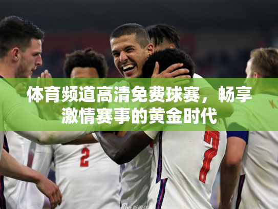 体育频道高清免费球赛，畅享激情赛事的黄金时代