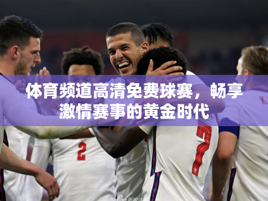 体育频道高清免费球赛，畅享激情赛事的黄金时代