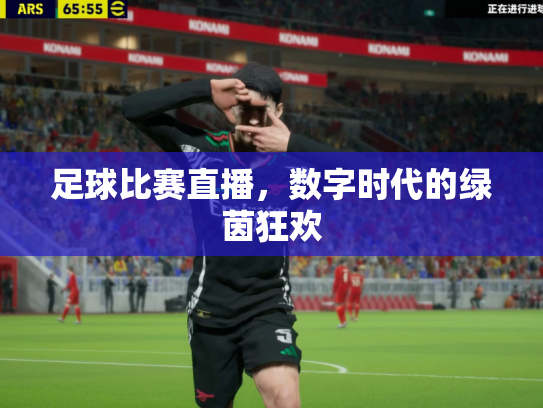足球比赛直播，数字时代的绿茵狂欢