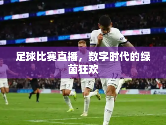 足球比赛直播，数字时代的绿茵狂欢