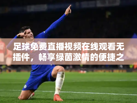 足球免费直播视频在线观看无插件，畅享绿茵激情的便捷之道