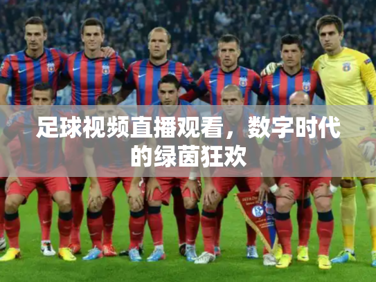 足球视频直播观看，数字时代的绿茵狂欢