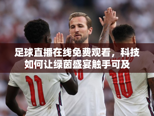 足球直播在线免费观看，科技如何让绿茵盛宴触手可及