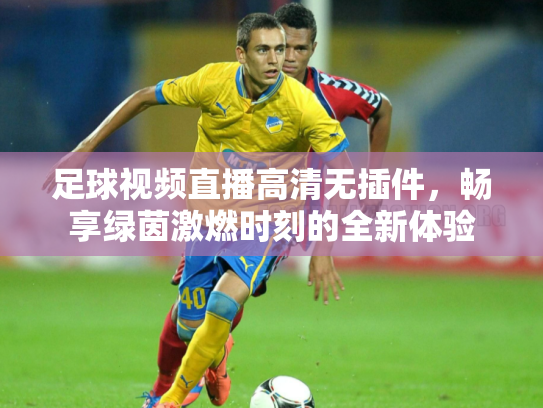 足球视频直播高清无插件，畅享绿茵激燃时刻的全新体验