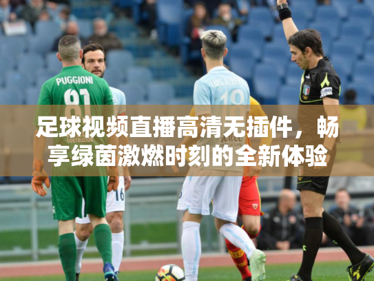 足球视频直播高清无插件，畅享绿茵激燃时刻的全新体验