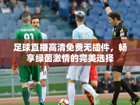 足球直播高清免费无插件，畅享绿茵激情的完美选择