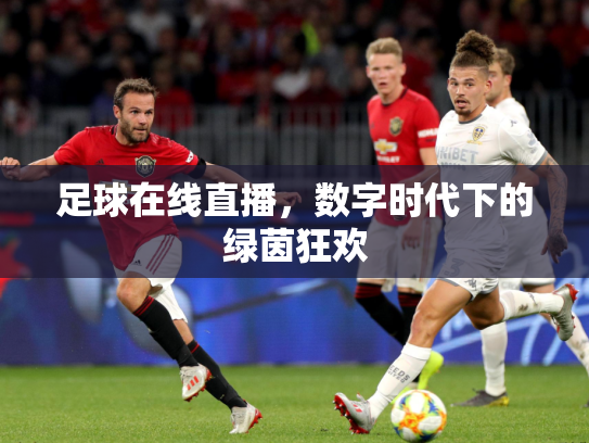 足球在线直播，数字时代下的绿茵狂欢