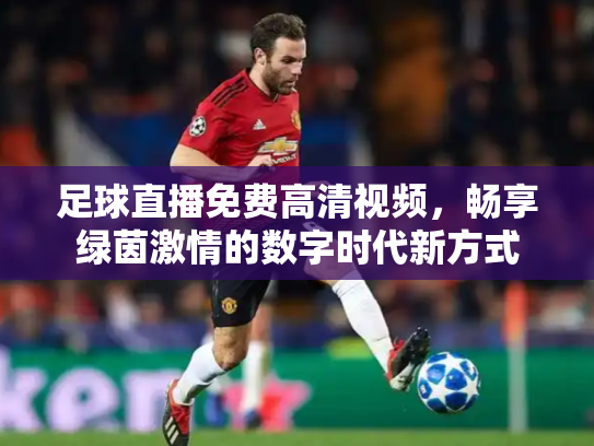 足球直播免费高清视频，畅享绿茵激情的数字时代新方式