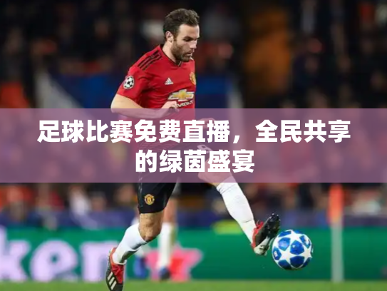 足球比赛免费直播，全民共享的绿茵盛宴