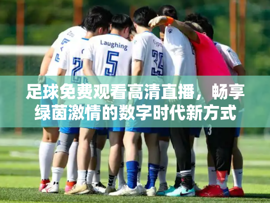 足球免费观看高清直播，畅享绿茵激情的数字时代新方式
