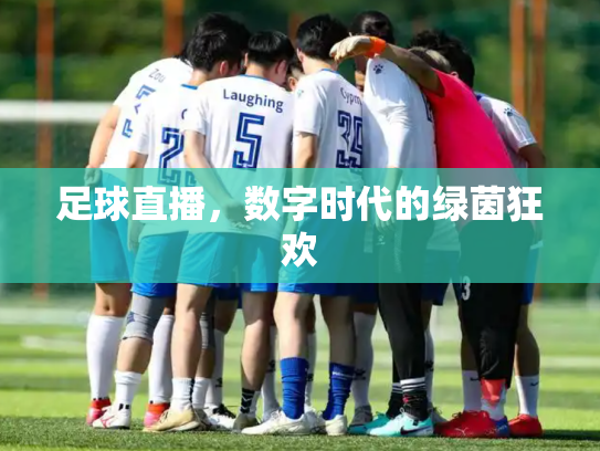 足球直播，数字时代的绿茵狂欢