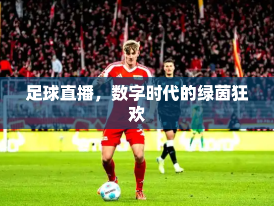 足球直播，数字时代的绿茵狂欢