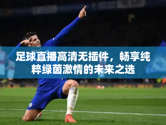 足球直播高清无插件，畅享纯粹绿茵激情的未来之选